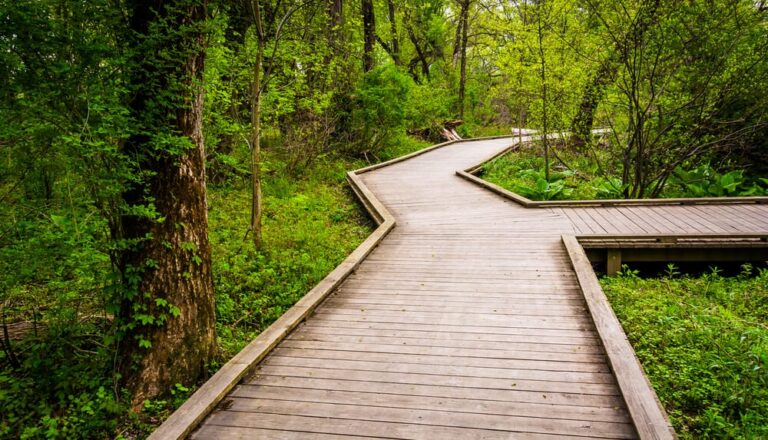 Photo of a Wildwood Park Boardwalk.