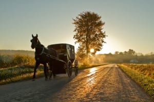 Photo of an Amish Buggy at Dusk in the Susquehanna Valley.