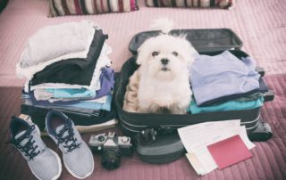 suitcase packed with dog on bed: pet-friendly hotels in Harrisburg PA