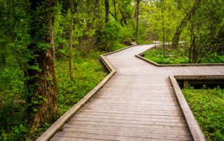 Nature trail at Wildwood Park, one of the most popular Harrisburg parks